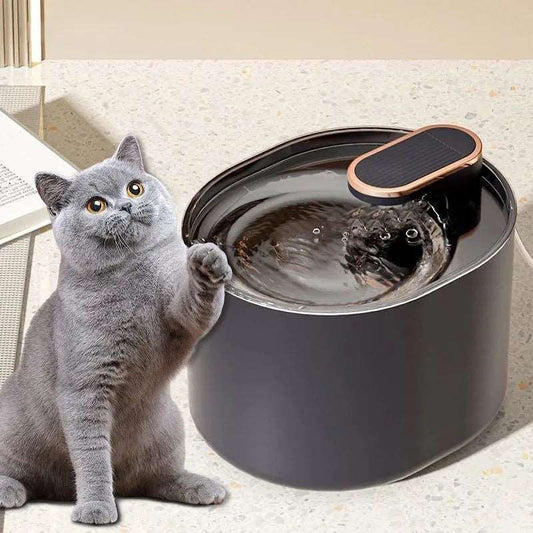 Automatic Pet Drinking Fountain: Whisper Flow
